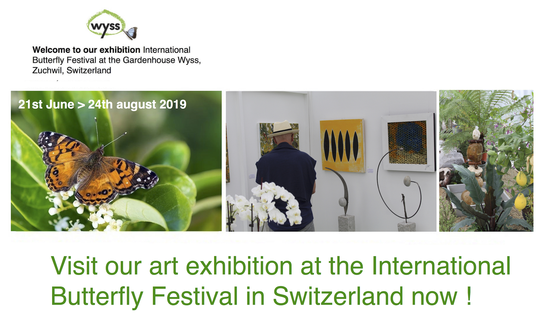 Exhibition Banner 2 -  International Butterfly Festival 2019 Kopiejpg