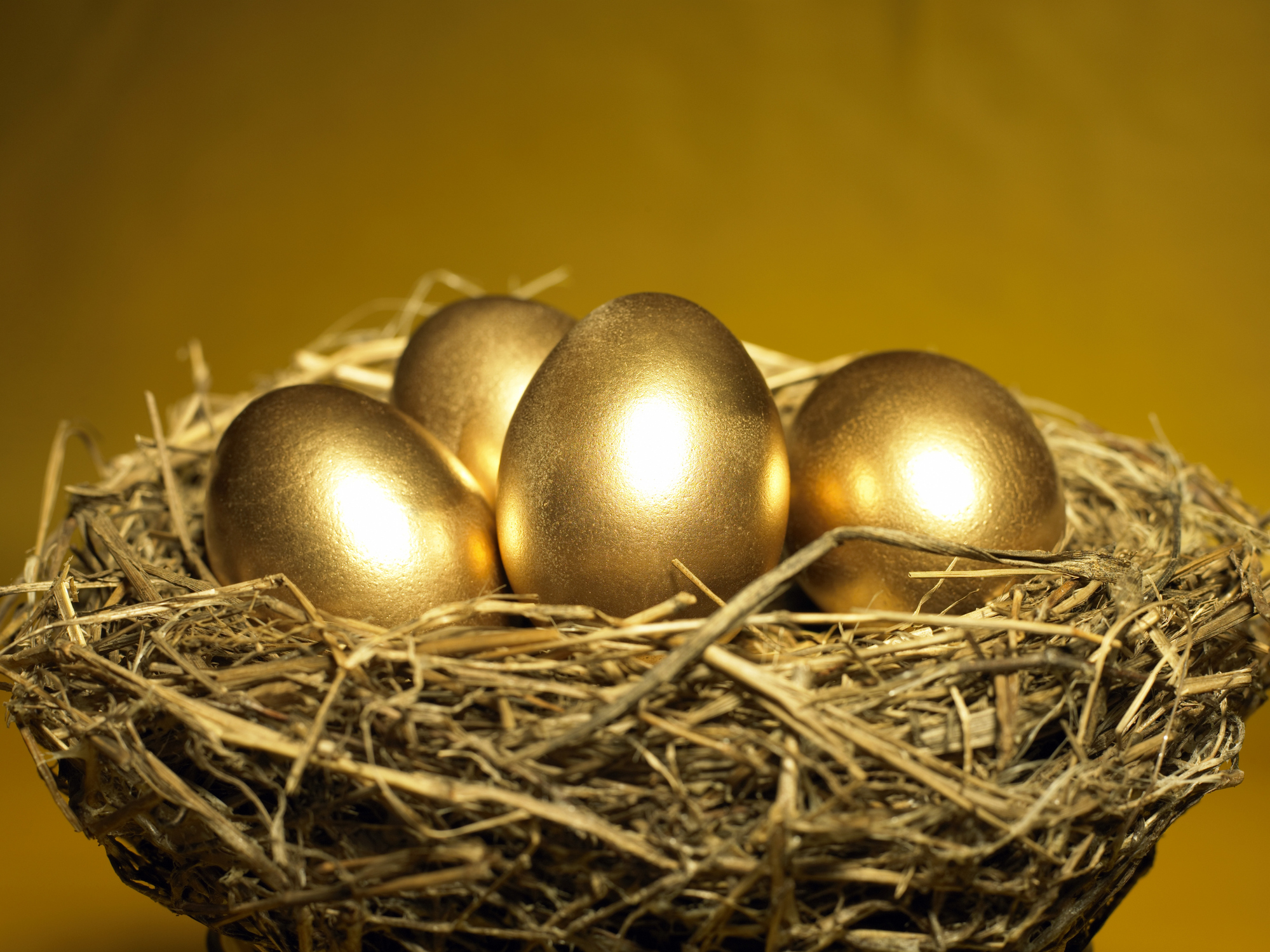 golden-eggs-in-nestjpg