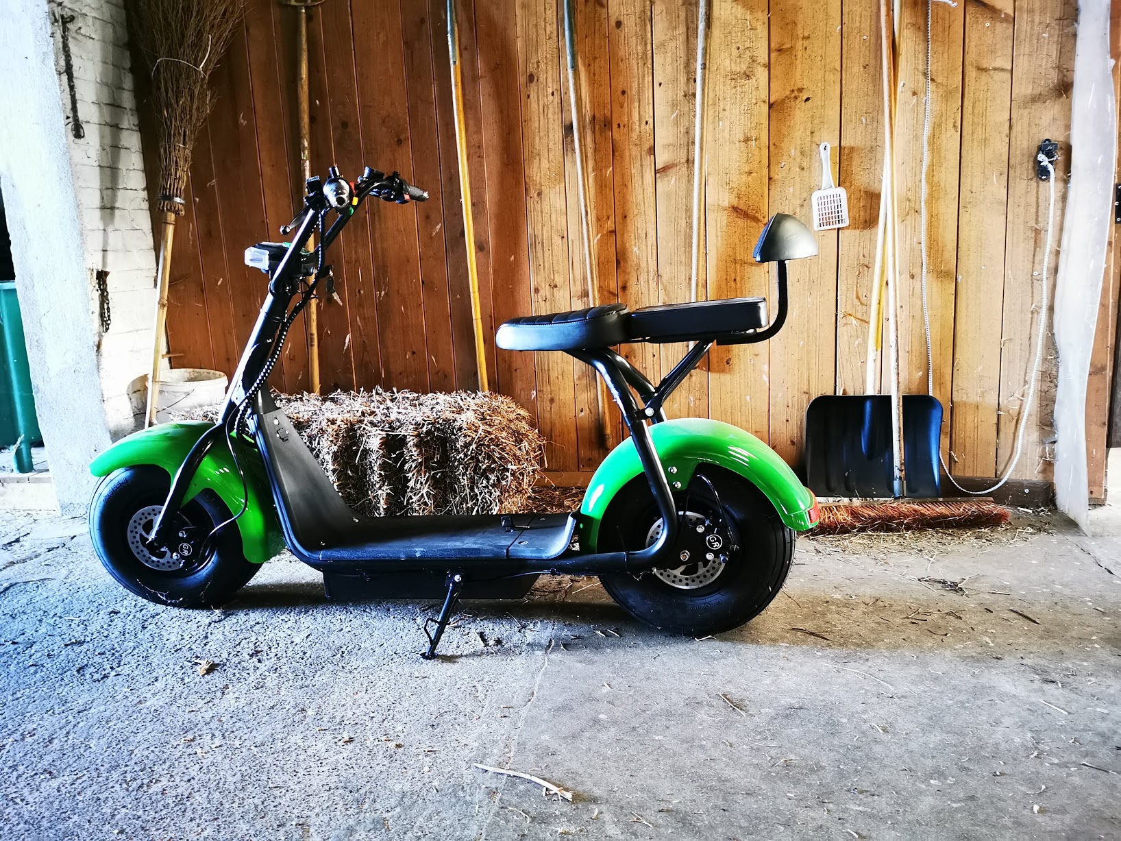 Big-Scooter