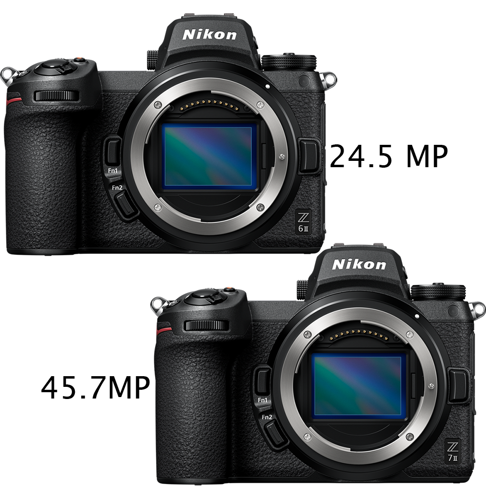 Vergleich Nikon Z6II Z7II, Wieviele Pixel benötige ich?