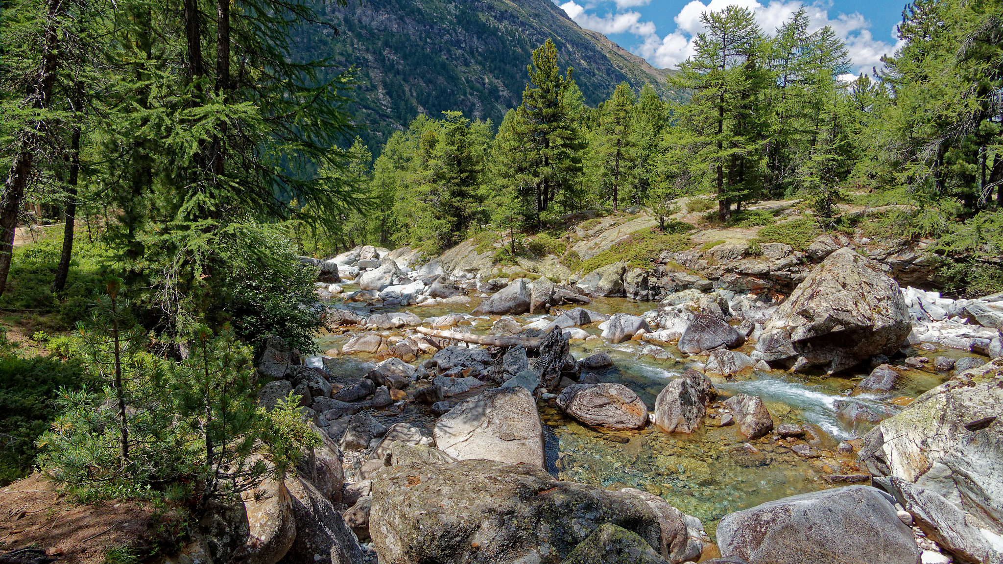 Bernina-Morteratsch