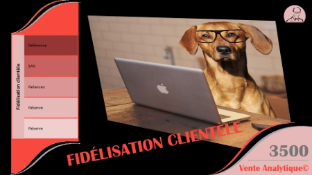 Image d'un chien fidèle devant un ordinateur et les étapes de fidélisation clientèle