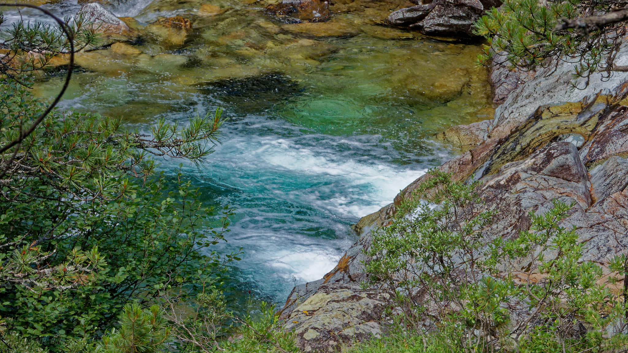 Bernina-Morteratsch