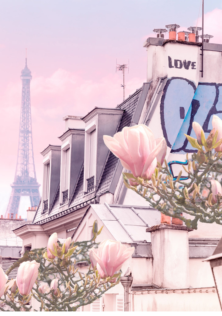paris, eiffel tower and magnolias - digital art