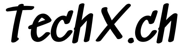 techx.ch tech-x.ch Schriftzug Logo TechX