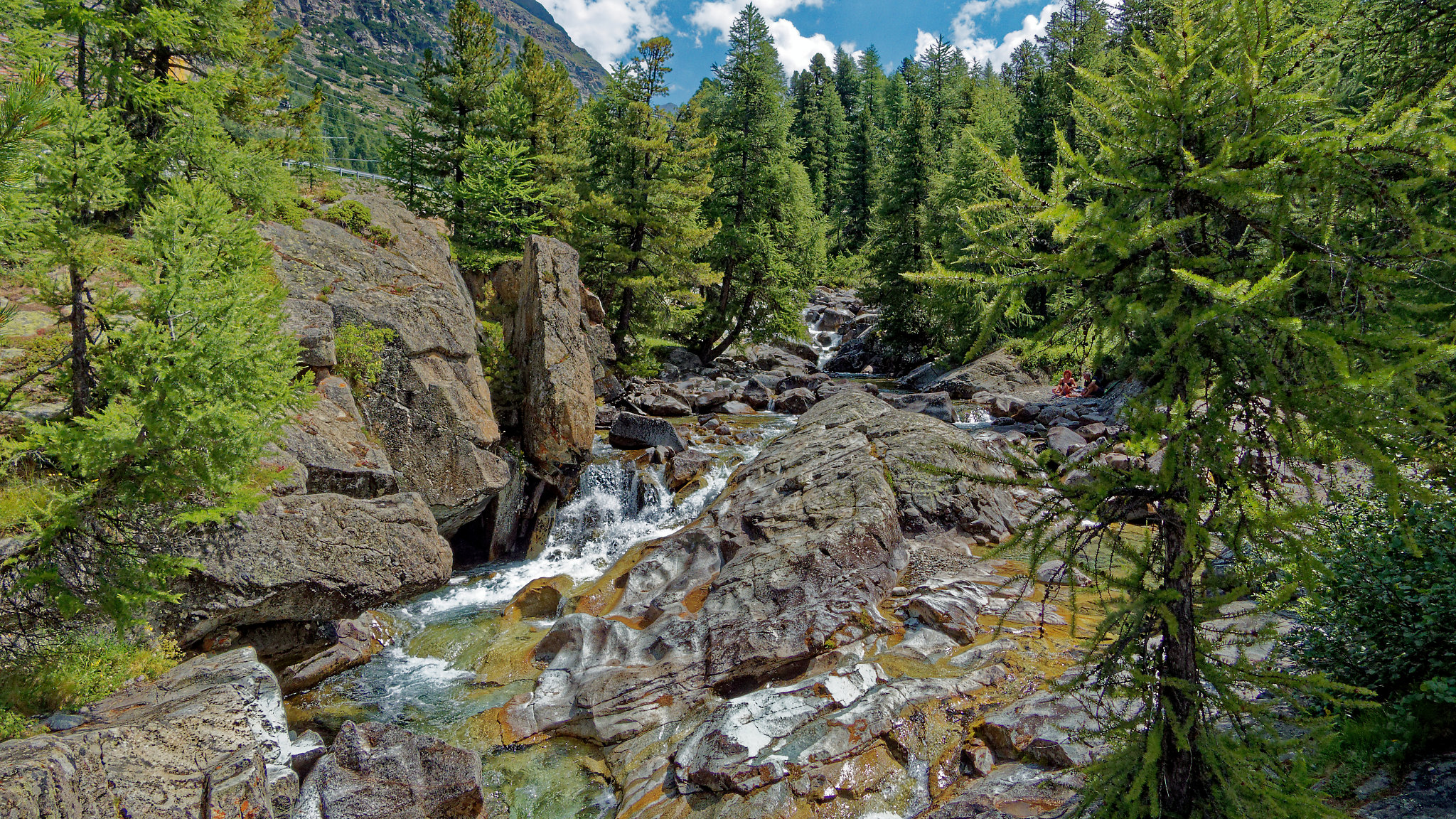 Bernina-Morteratsch