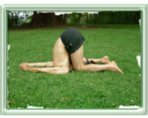 Karnapidasana, met à forte contribution toute la partie de la nuque, les  articulations des vertèbres. Donne plus de flexibilité au dos. Stimule  la thyroïde.