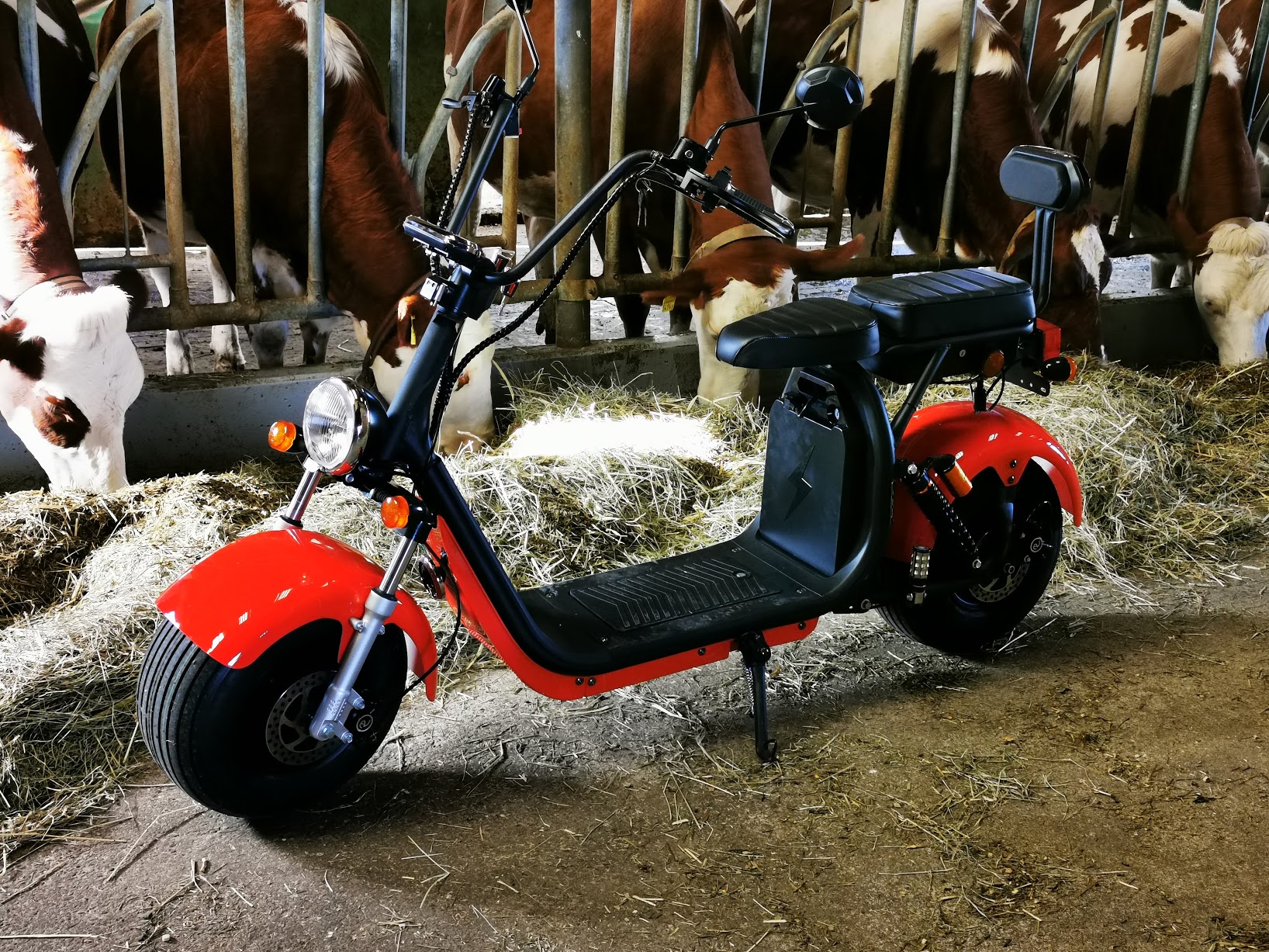 Europe Scooter