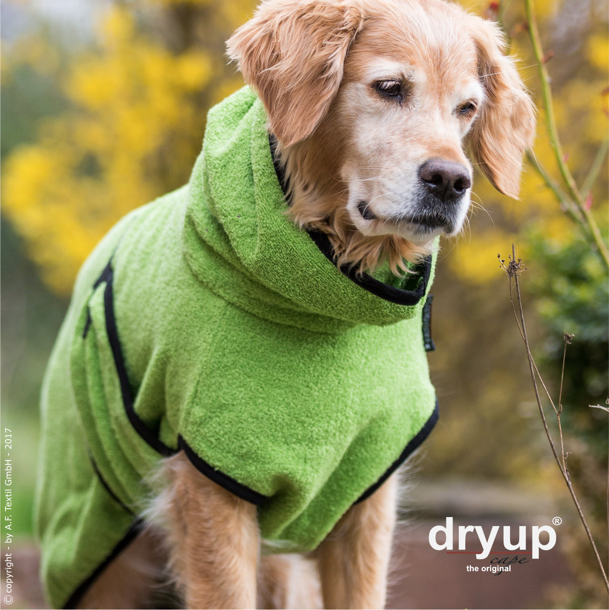 Dryup Cape Hellgrün