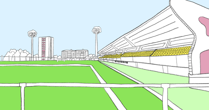 football stadium and steps - vevey - switzerland - illustrator Pascale Delevaux