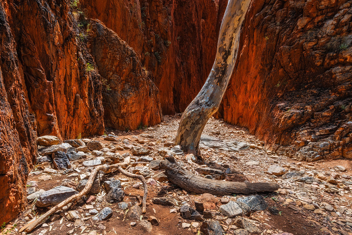 Stanley Chasm-Northern Territory-Outback-Australiajpg