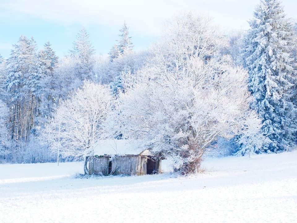 Florent Cosandey - Avé Némitz l'hermite des neiges