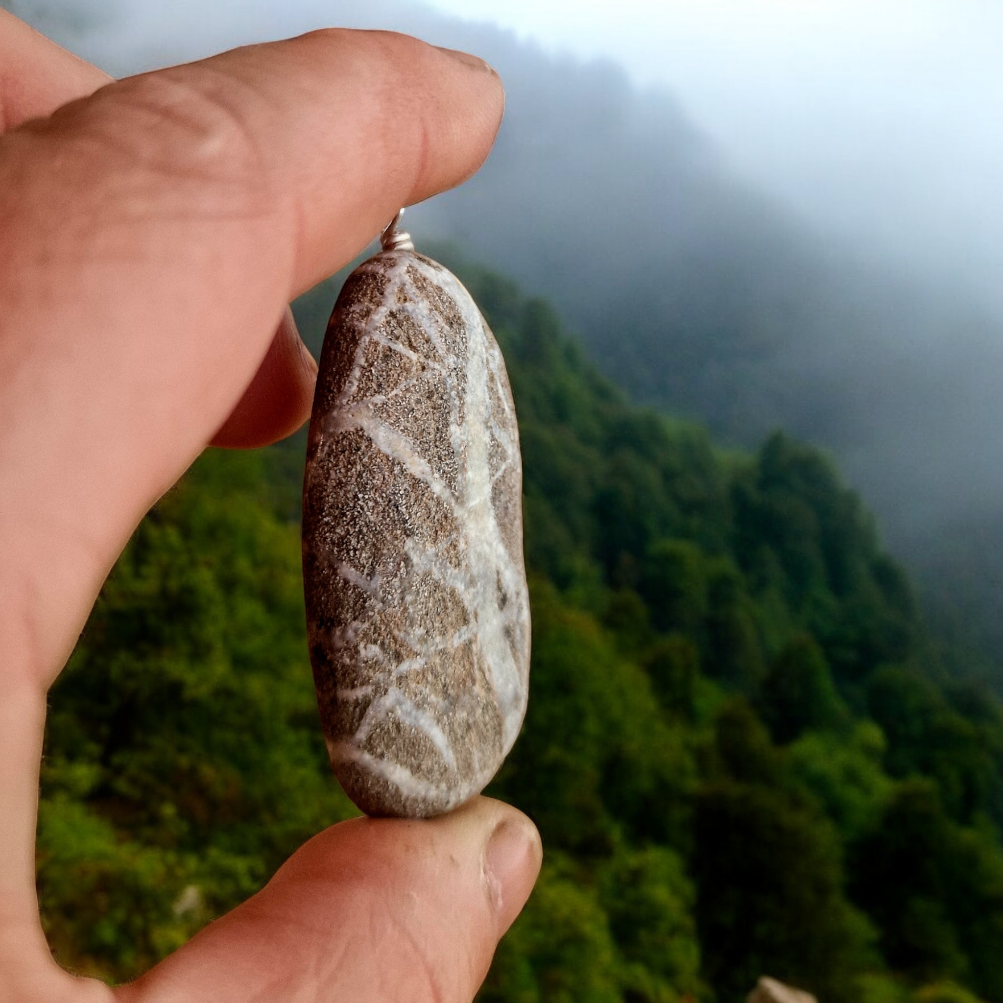 Feòil quartz