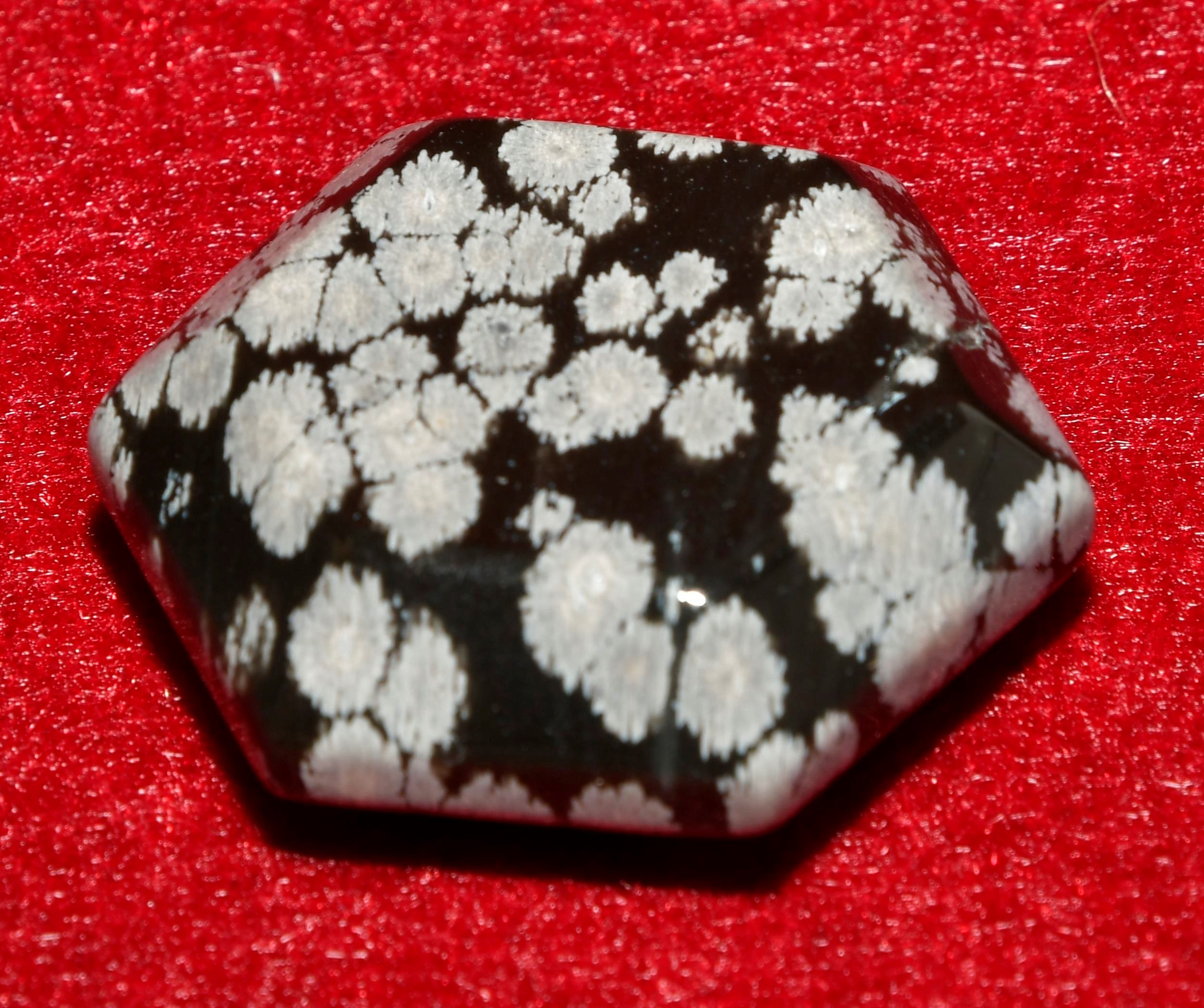 Schneeflocken Obsidian 3 cm.